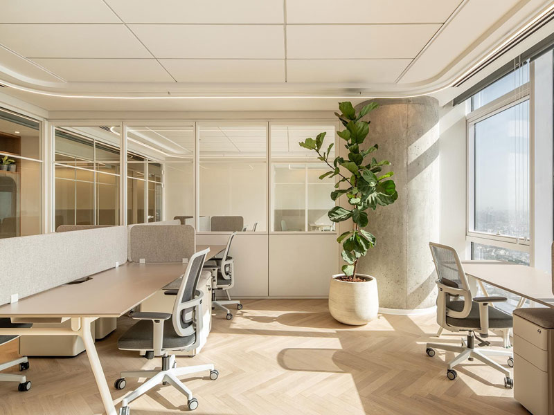Thiết Kế Văn Phòng 60m2: Tối Ưu Hóa Không Gian Làm Việc Hiệu Quả