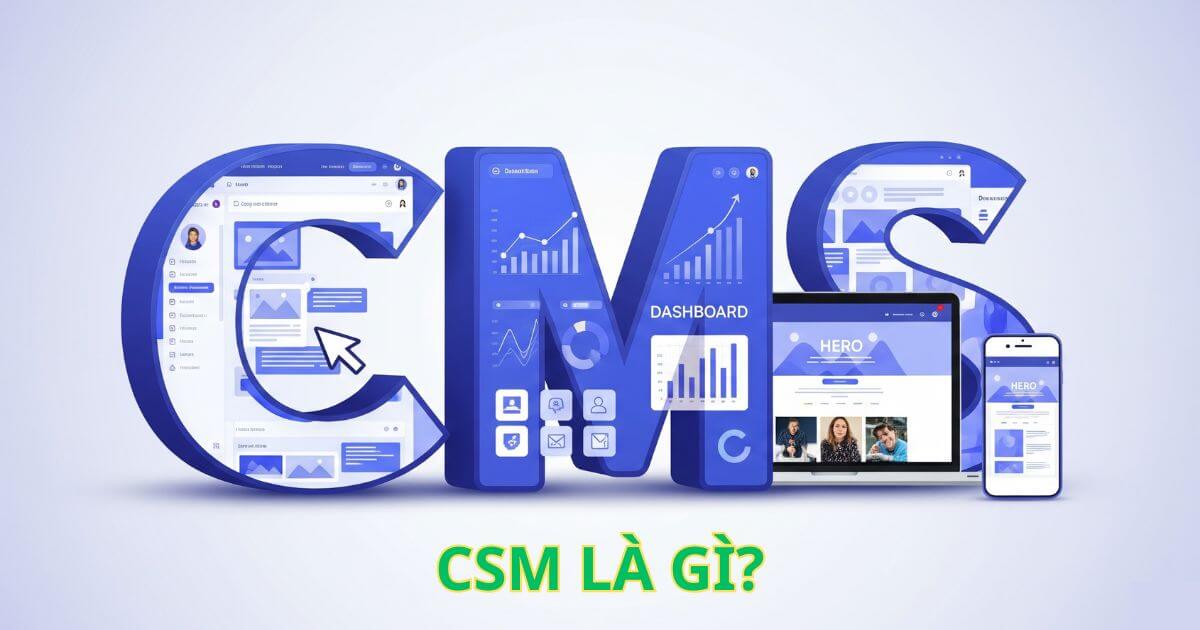 cms là gì